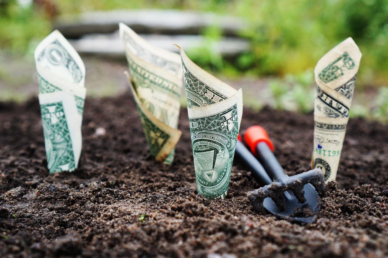 Habit Building is How You Grow Your Income